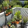 GARDENA Urlaubsbewässerung  Urlaubsbewässerungsset