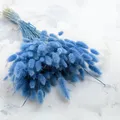Enchanted Dekogras Getrocknetes Gras Ziergras Hasenschwänze Lagurus Ovatus Samtgras Häschen-Schwanzgras Trockenblumen Natürlich Boho 120 - 150 Stück 100 g Azurro