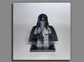 LEGO® Star Wars™ Figuren - aus 75290 - Mos Eisley Cantina™