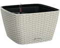 Pflanzschale Lechuza Bacino Cottage Kunststoff 30 x 30 x 18 cm sandbraun inkl. E