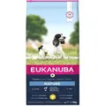 Eukanuba MATURE, Adult, Huhn, 15 kg
