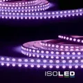 ISOLED AQUA RGB+WW Flexband 5m 24V 19W/m IP68 EEK G [A-G] Fiai IsoLED 115507
