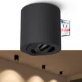 Aufbauleuchte CORI schwenkbar Schwarz Deckenlampe Deckenstrahler Spot Lampe