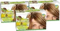 Garnier Strähnchen Set, Creme Highlights Set 1 für helle Strähnchen, Strähnen Set zum selber machen für hellblondes Haar (mit Avocado-Öl), Nutrisse, Hellblond, 3 Stück