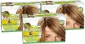 Garnier Nutrisse Strähnchen Set Hellblond mit Avocado-Öl 3er Pack