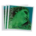 Evah Pirazzi Violin 4/4 BE m