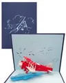 3D Pop Up Karte Flugzeug - Geburtstagskarte, Geschenk & Einladung zum Geburtstag - Flugzeugkarte mit 3D Modell Propeller-Flugzeug als Gutschein, Geschenkidee & Geschenkverpackung zur Flugreise