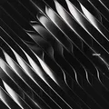 Dimension Organ CD NEW