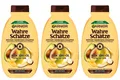 ✅ Garnier Shampoo Wahre Schätze AVOCADO-ÖL Sheabutter trockenes Haar 3x 250ml ✅