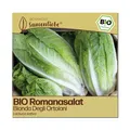BIO Salat Samen Sorte Bionda Degli Ortolani Gemüsesamen BIO Gemüse Saatgut samen