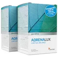 Ashwagandha 600 mg, Rhodiola Rosea, Magnesium, Vitamin B6 und Vitamin B5 - Nur 2 Kapseln Täglich - 120 Ashwagandha Kapseln für 60 Tage - 10% Witanolide - AdrenaLux Sensilab