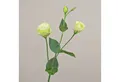 Kunstzweig Künstlicher Zweig Lisianthus RINARA, Creme-grün, 65cm Lisianthus, artplants, Höhe 65.0 cm