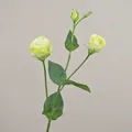 artplants Künstlicher Zweig Lisianthus RINARA, Creme-grün, 65cm