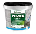 Ultrament Power Dicht 5 l | standfeste und tropfhemmende Abdichtung für Sockel, Fundament & Dach