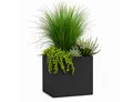 Pflanzwerk® Pflanzkübel CUBE Premium Fiberglas Blumenkübel Frostbeständig mit Lotus-Effekt, Lotus-Effekt - Handgefertigt - Eckig - Frostbeständig