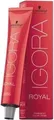 Schwarzkopf Igora Royal 6-63 Dunkelblond Schoko Matt