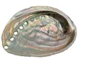 Steinfixx® Dekoschale Abalone Paua Muschel I Räucherschale I Perlmutt Meeresmuschel (100 % echt aus Mexiko, 1 St., Seifenschale I Schmuckschale), 100x70x15 mm