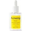 NICHE BEAUTY LAB Acnemy Postzit 30 ml