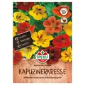 Sperli Saatgut Kapuzinerkresse 'Rankender Roland', bunt