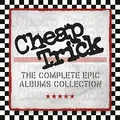 Complete Epic Albums Collection