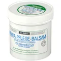 Dr. Sacher´s Arnika Pflege-Balsam mit Sanddornöl