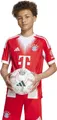 Adidas Fcb H Jsy Y 000 Red 000 Red 176