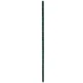 Pflanzstab Timo 150 G Pulver beschichtet, L 3 x B 3 x H 150 cm, Mat. 1.5