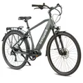 Tretwerk Sonic E Bike 28" Trekkingrad 8 Gang Pedelec 522 Wh E Fahrrad grün 50cm