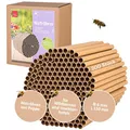 CULT at home 200 Nisthülsen für Wildbienen Insektenhotel Ø 6 mm - Länge 15 cm – Zubehör Füllmaterial Ersatz zum Nachfüllen Bauen und Basteln von Nisthilfen Bienenhotel