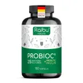 Probiotika Kulturen Komplex, 25 Bakterienstämme + Inulin - 300 Mrd. KBE/g RAIBU