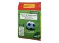 WOLF-Garten LG 500 Sport- und Spielrasen (3825040)