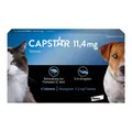 CAPSTAR 11,4 mg Tabletten für Katzen und kleine Hunde 6 St