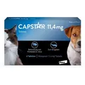 CAPSTAR 11,4 mg für Katzen und kleine Hunde 6 St Tabletten