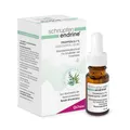 schnupfen endrine Tropfen 0,1% Nasentropfen Inhalt: 10 ml