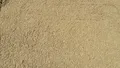 Der Naturstein Garten Alwe Spielsand 12,5 kg – feine Rheinkörnung 0–2 mm, naturrein für Sandkasten, Garten & Landschaftsbau