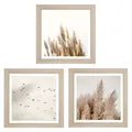 Bilder-Set 3-teilig Wandbild Bild Wanddeko Braun Pampasgras Vögel 23 x 23 cm