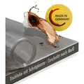 TEXMAXX Tischfolie transparent 2mm mit abgeschrägter Kante / Tischschutz transparent versch. Größen und Wunschmaß / Tisch Schutzfolie transpare... - Transparent