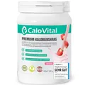 Calo Vital Premium Kalorienshake - Trinknahrung hochkalorisch - Erdbeere - 500 g