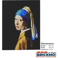 JEKCA Bricks Girl with a Pearl Earring Brick Painting 01S ST24CP01