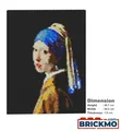 JEKCA Bricks Girl with a Pearl Earring Brick Painting 01S ST24CP01