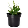 Garronda Blumentopf Kunststoff rund Pflanztopf Kräutertopf Anzuchttopf für Garten GD-0025 (1 St) schwarz Ø 15 cm x 11.5 cm