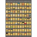 "Poster \"99 Bücher, die man gelesen haben muss\""