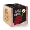 Feel Green Ecocube Devil's Tongue, Schärfegrad: 10, Scoville: 125.000-325.000, Nachhaltige Geschenkidee (100% Eco Friendly), Grow Your Own/Anzuchtset, Pflanzen Im Holzwürfel, Made in Austria