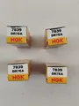 NGK 4x Zündkerze Order Nr. 7839 DDR7EA Honda, Kawasaki, Suzuki, Yamaha
