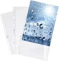 Durable 267619 Prospekthüllen (DIN A4 Premium extra stark, 0,08 mm) 100 Stück gl