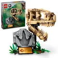 LEGO Jurassic World 76964 Dinosaurier-Fossilien: T.-rex-Kopf Bausatz