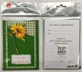 Jugendweihe - Einladungen - 5 Karten – 5 Umschläge – im Format 10,5 x 14,5 cm im