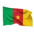 PHENO FLAGS Kamerun Flagge 90x150cm - wetterbeständige Fahne mit Messingösen, 100% Polyester, robuste Doppelnaht & in lebendigen Farben - ideal für Flaggen-Liebhaber