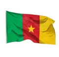 PHENO FLAGS Flagge Kamerun Flagge 90 x 150 cm Kamerunfahne Fahne Afrika (Hissflagge für Fahnenmast), Inkl. 2 Messing Ösen