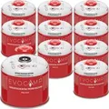 Evocamp Gaskartusche 10 Stück 300g Butan Propan Schraubventil für Camping Weber Q100